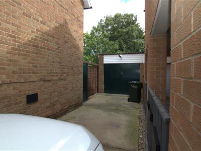 Picture 15
